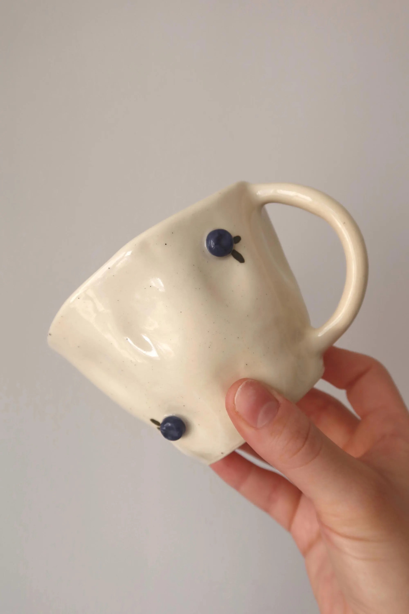 Blueberry Mug