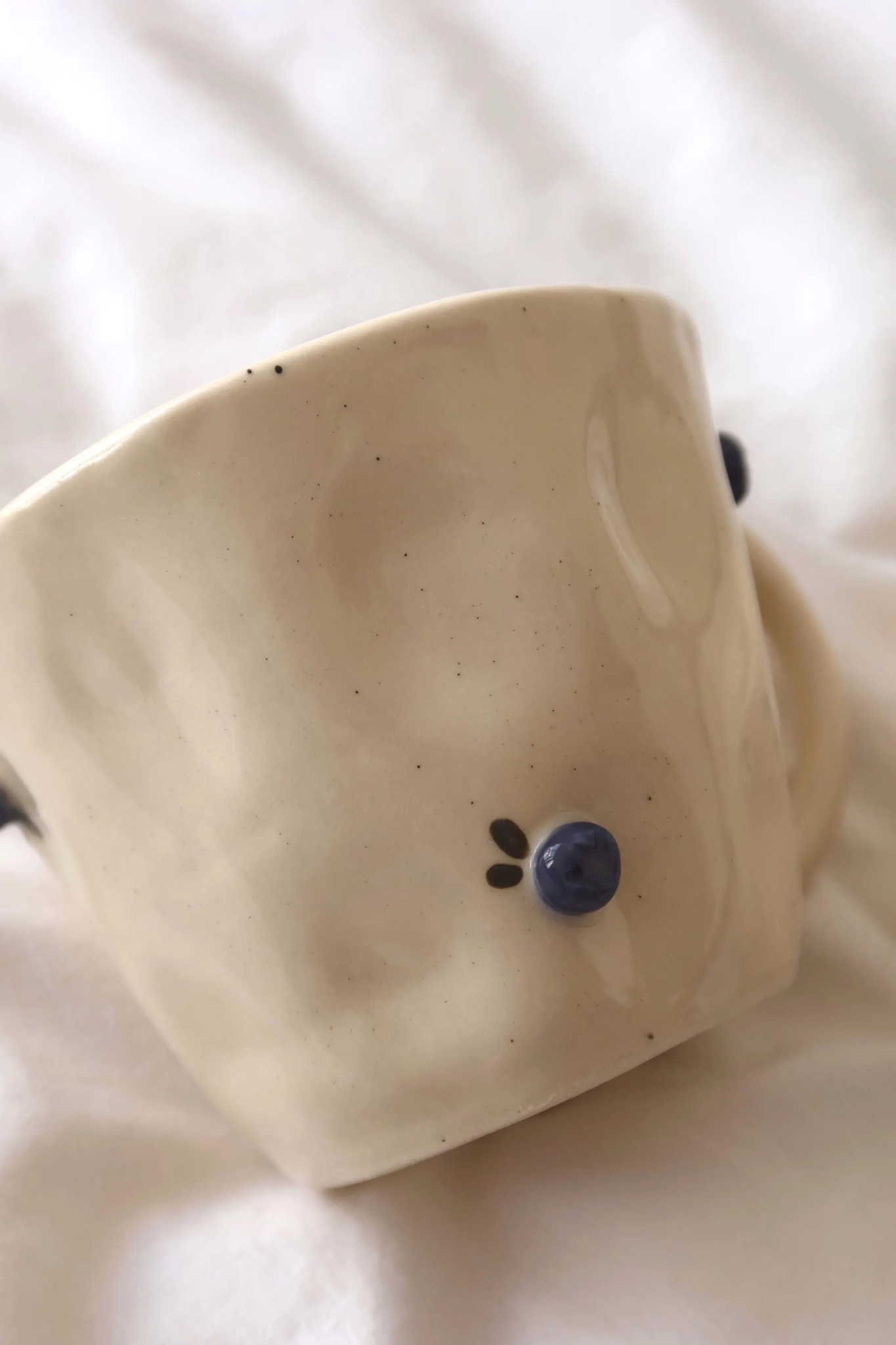 Blueberry Mug