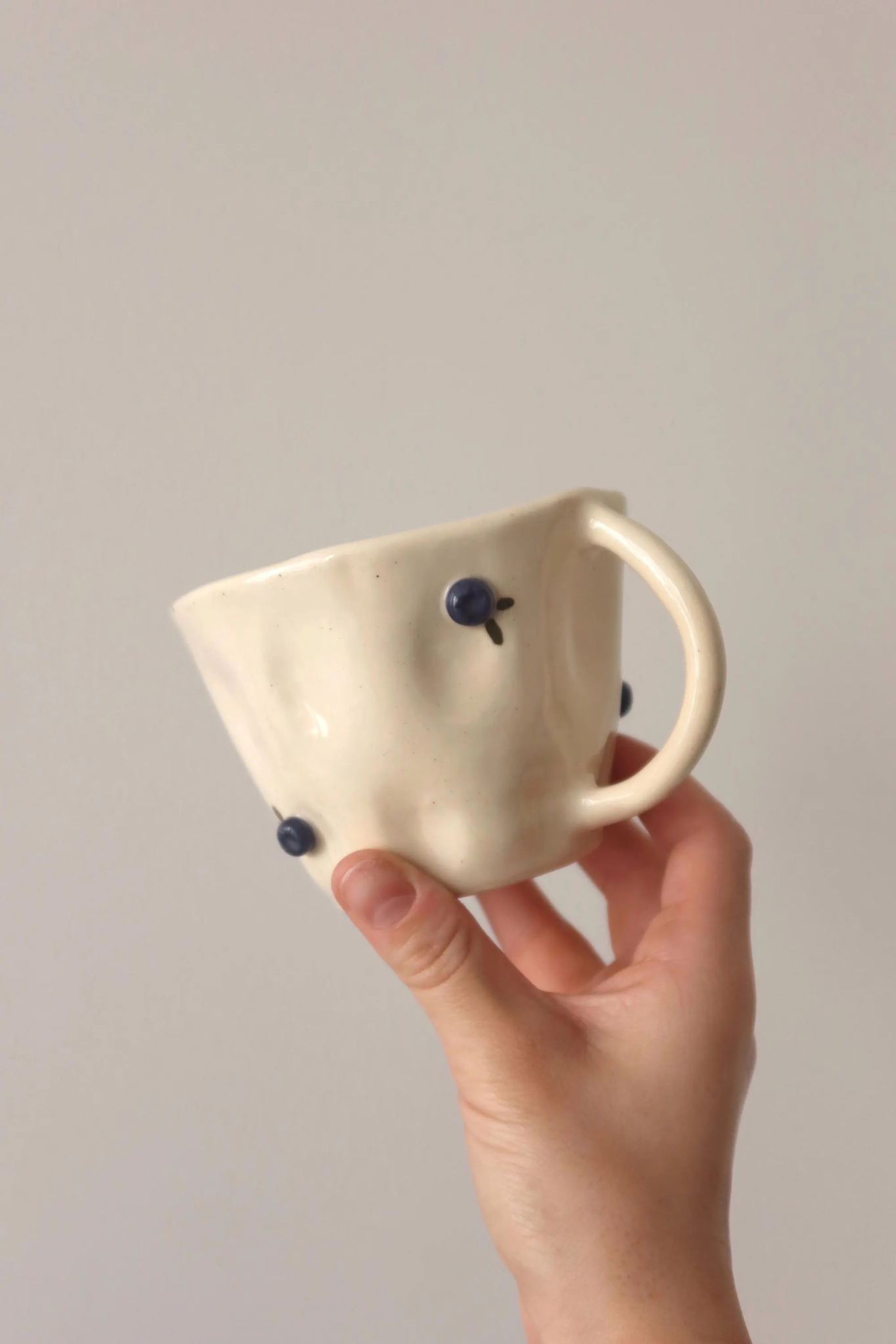 Blueberry Mug