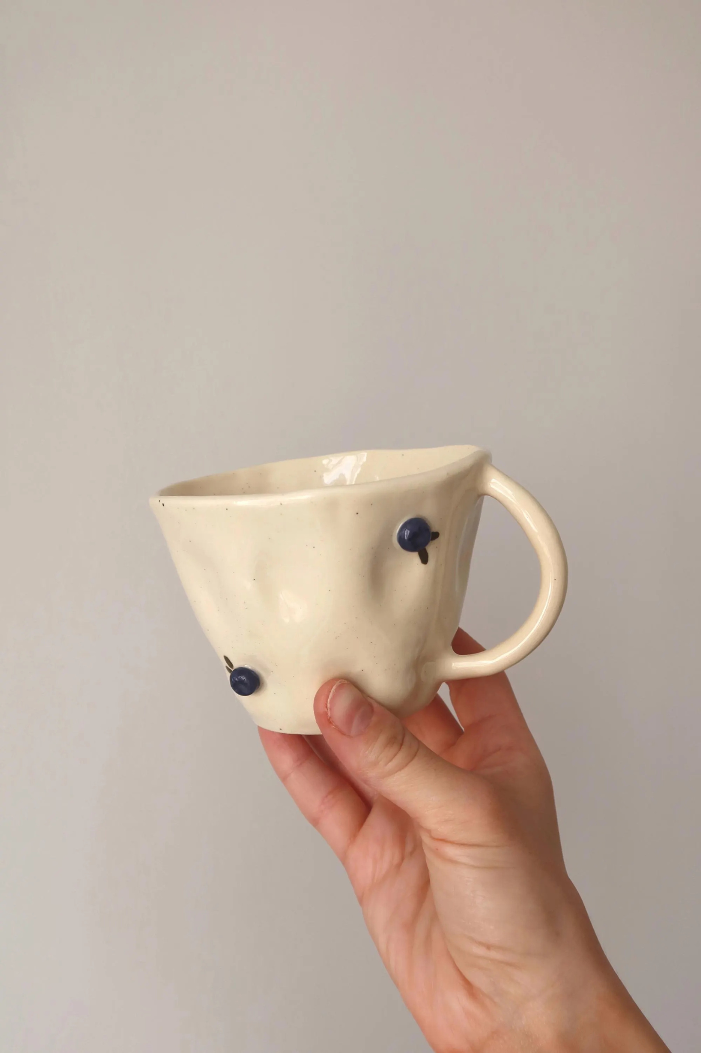 Blueberry Mug