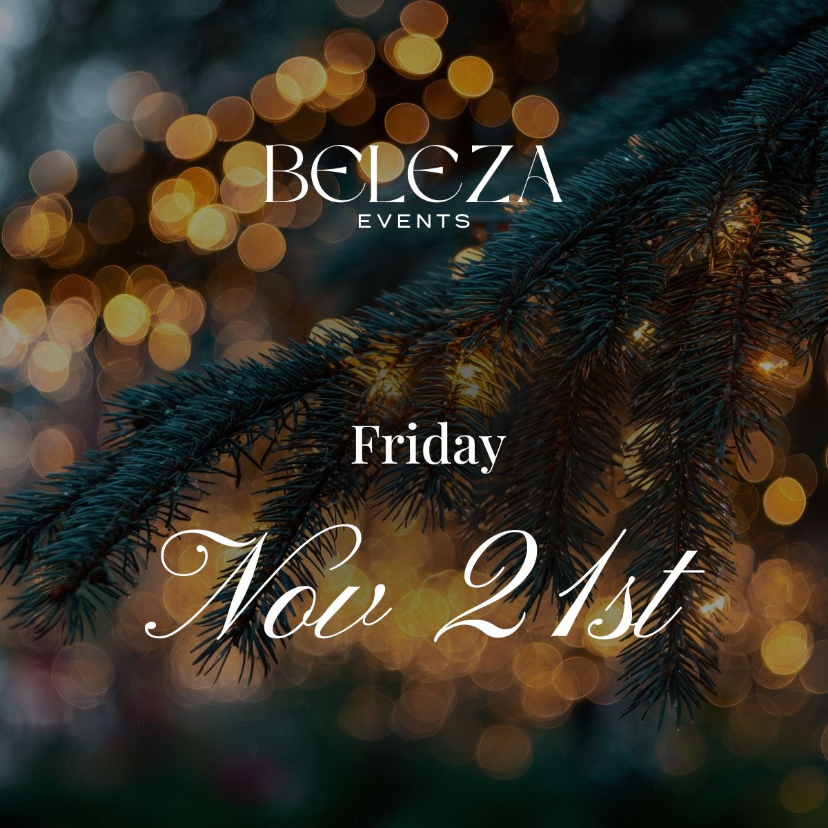 Christmas Ornament Night - November 21st 🎄