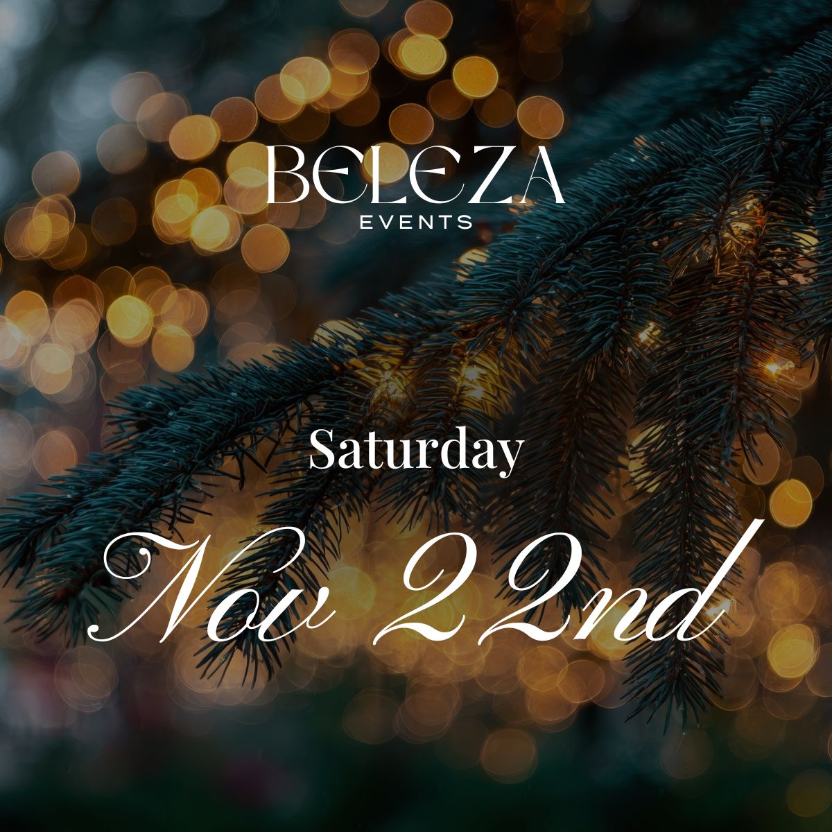 Christmas Ornament Night - November 22nd 🎄