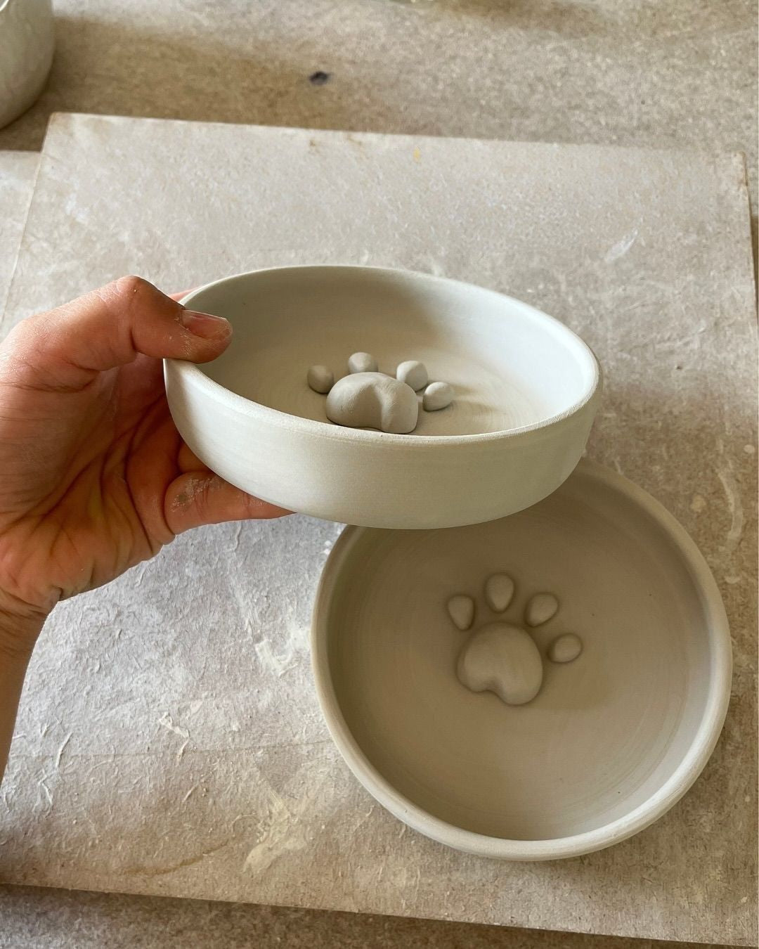 Paw Pet Bowl