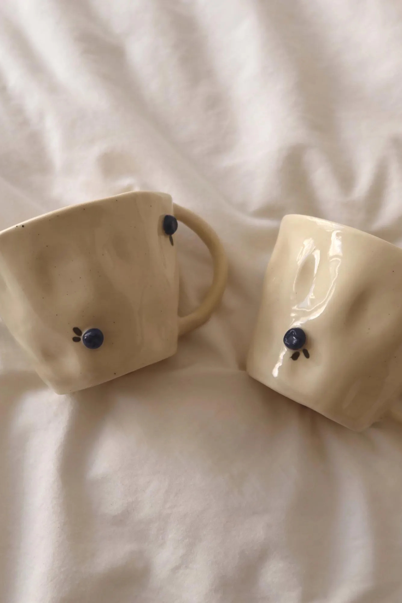 Blueberry Mug